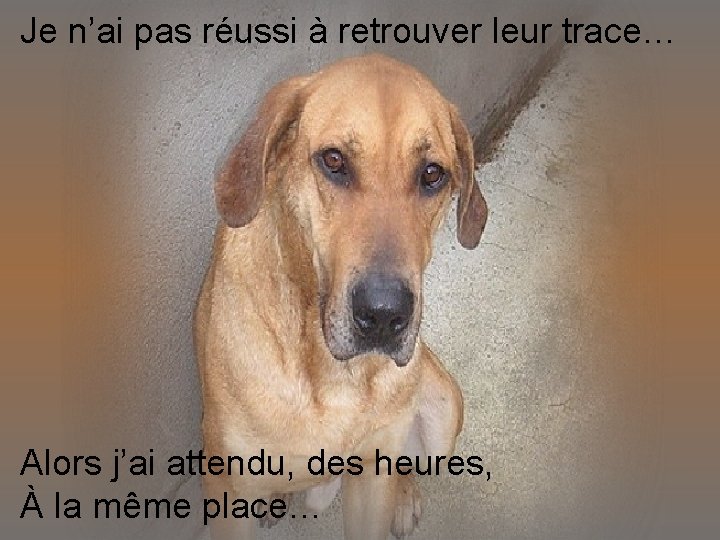 Je n’ai pas réussi à retrouver leur trace… Alors j’ai attendu, des heures, À