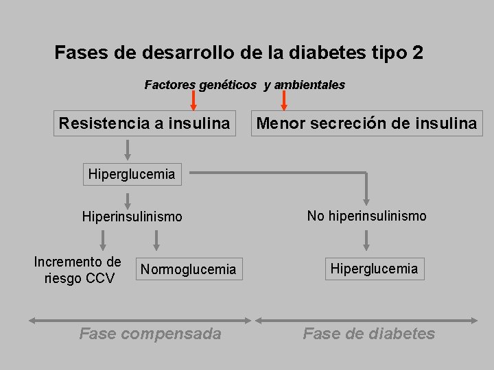 Fases de desarrollo de la diabetes tipo 2 Factores genéticos y ambientales Resistencia a