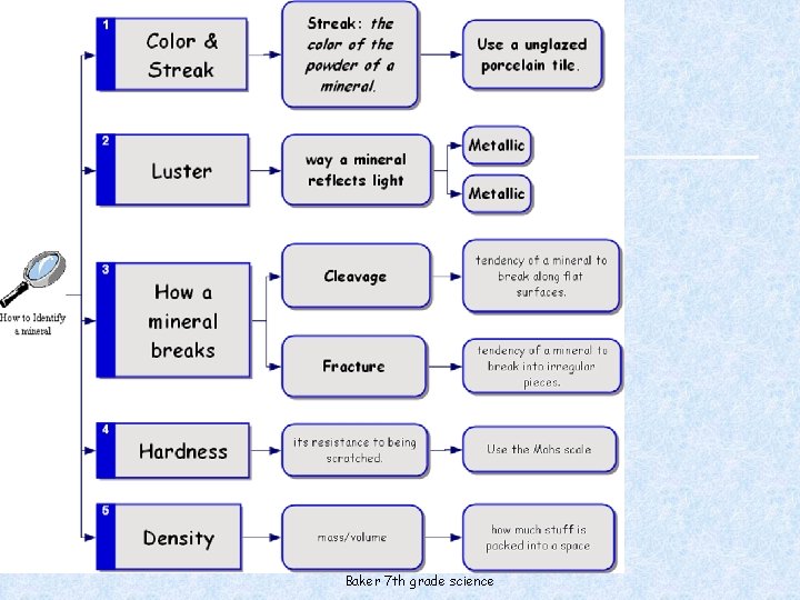 Baker 7 th grade science 