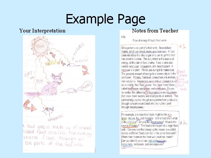 Example Page Your Interpretation Notes from Teacher 