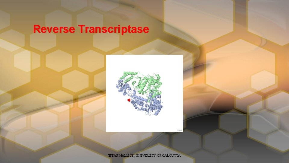 Reverse Transcriptase TITAS MALLICK, UNIVERSITY OF CALCUTTA 