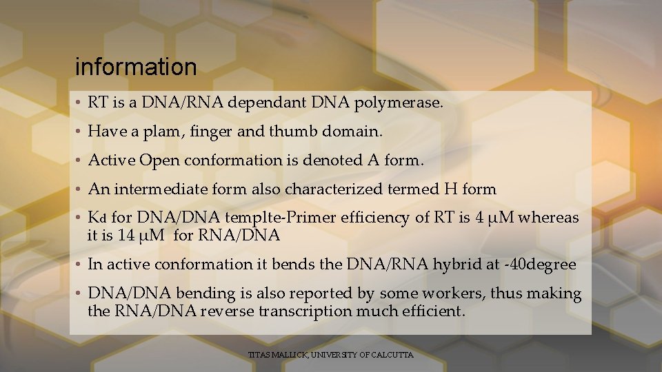 information • RT is a DNA/RNA dependant DNA polymerase. • Have a plam, finger