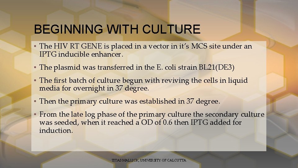 BEGINNING WITH CULTURE • The HIV RT GENE is placed in a vector in