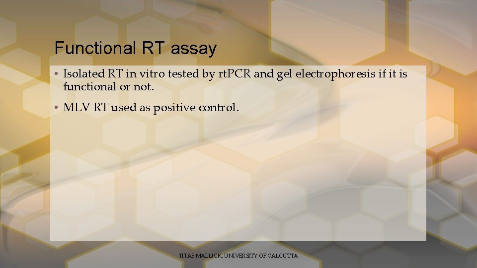 Functional RT assay • Isolated RT in vitro tested by rt. PCR and gel