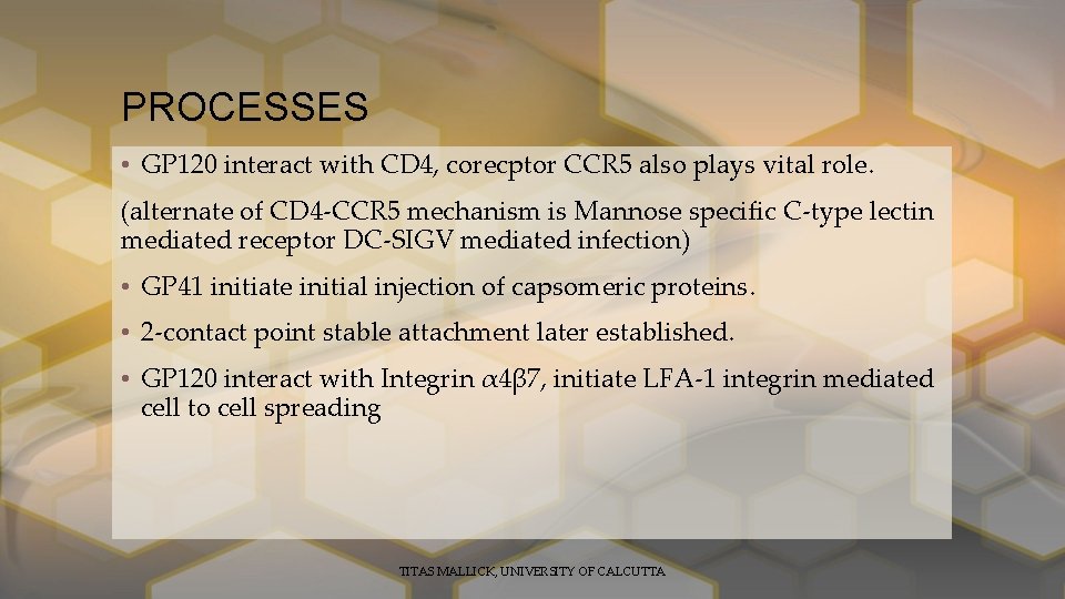 PROCESSES • GP 120 interact with CD 4, corecptor CCR 5 also plays vital