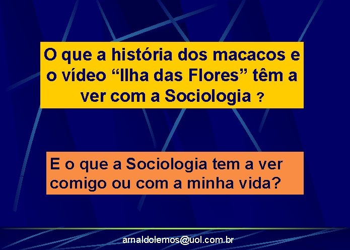 O que a história dos macacos e o vídeo “Ilha das Flores” têm a