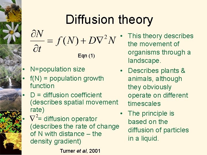 Diffusion theory • • • This theory describes the movement of organisms through a
