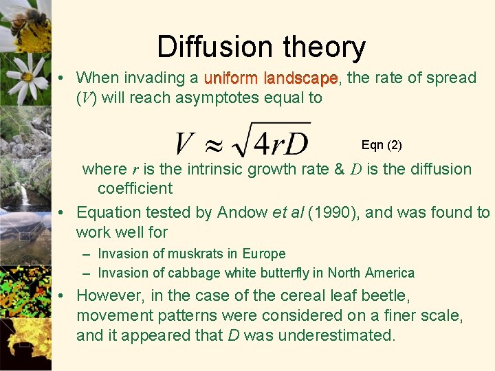 Diffusion theory • When invading a uniform landscape, landscape the rate of spread (V)
