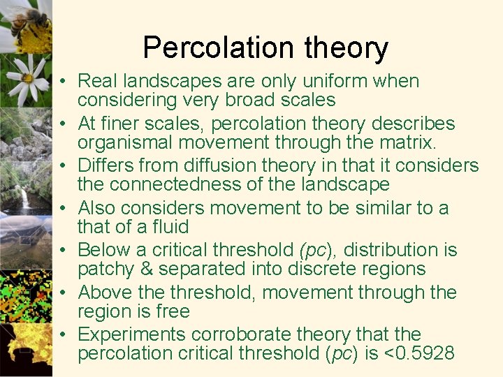 Percolation theory • Real landscapes are only uniform when considering very broad scales •