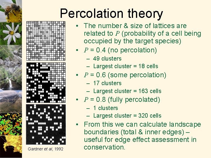 Percolation theory • The number & size of lattices are related to P (probability