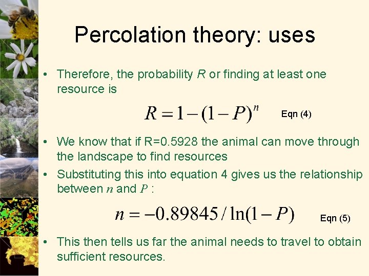 Percolation theory: uses • Therefore, the probability R or finding at least one resource