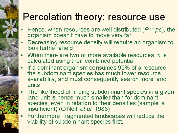 Percolation theory: resource use • Hence, when resources are well distributed (P<=pc), the organism