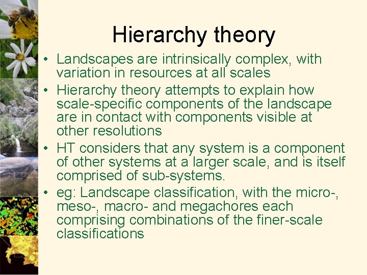 Hierarchy theory • Landscapes are intrinsically complex, with variation in resources at all scales