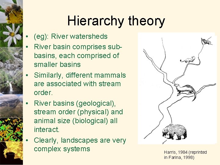 Hierarchy theory • (eg): River watersheds • River basin comprises subbasins, each comprised of