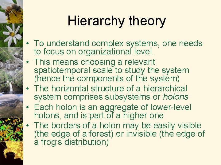 Hierarchy theory • To understand complex systems, one needs to focus on organizational level.
