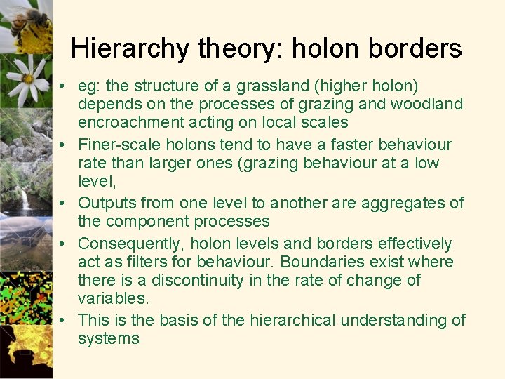 Hierarchy theory: holon borders • eg: the structure of a grassland (higher holon) depends