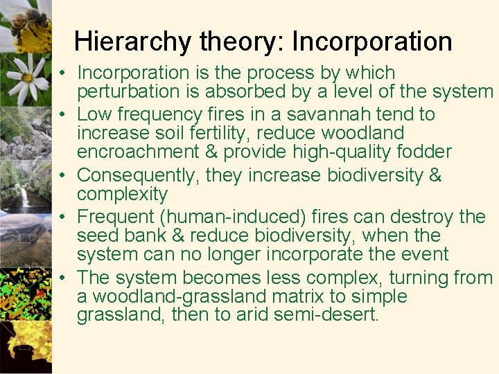 Hierarchy theory: Incorporation • Incorporation is the process by which perturbation is absorbed by