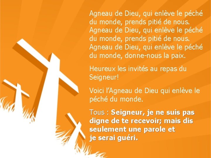 Agneau de Dieu, qui enlève le péché du monde, prends pitié de nous. Agneau