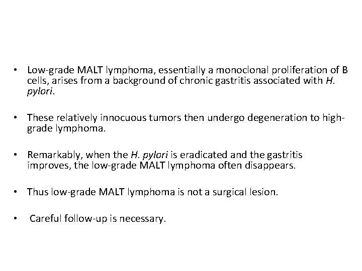  • Low-grade MALT lymphoma, essentially a monoclonal proliferation of B cells, arises from