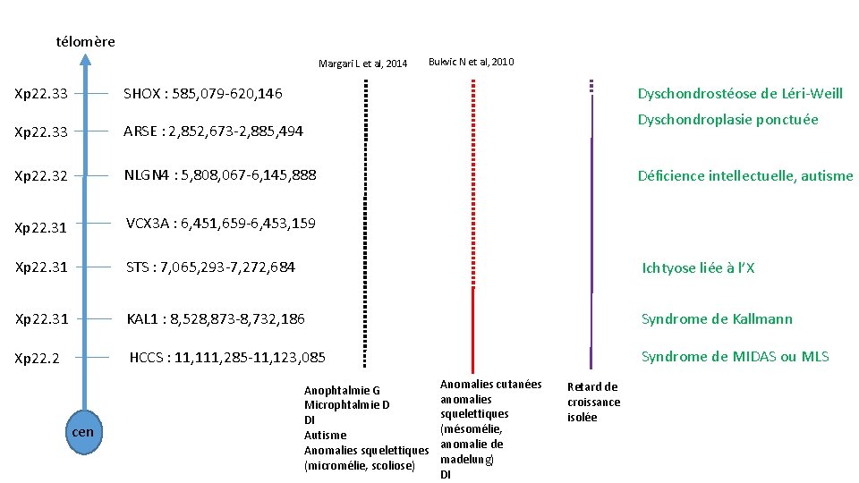télomère Margari L et al, 2014 Bukvic N et al, 2010 Xp 22. 33