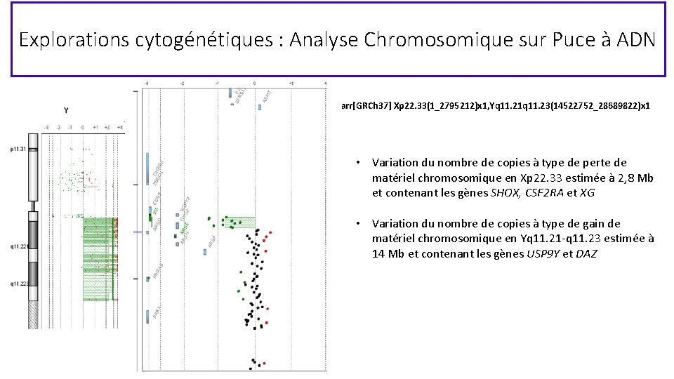 Explorations cytogénétiques : Analyse Chromosomique sur Puce à ADN arr[GRCh 37] Xp 22. 33(1_2795212)x