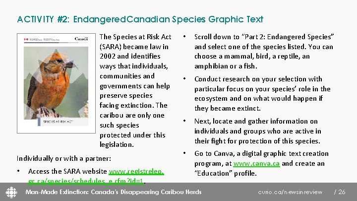 ACTIVITY #2: Endangered Canadian Species Graphic Text The Species at Risk Act (SARA) became