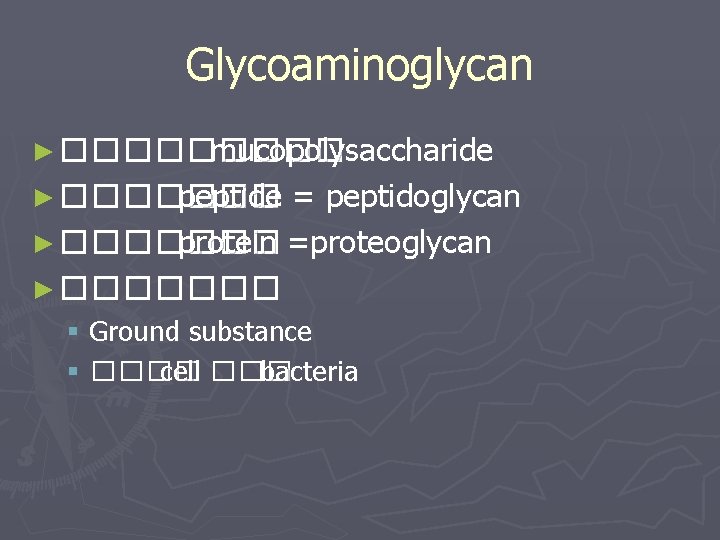 Glycoaminoglycan ► ����� mucopolysaccharide ► ������� peptide = peptidoglycan ► ������� protein =proteoglycan ►