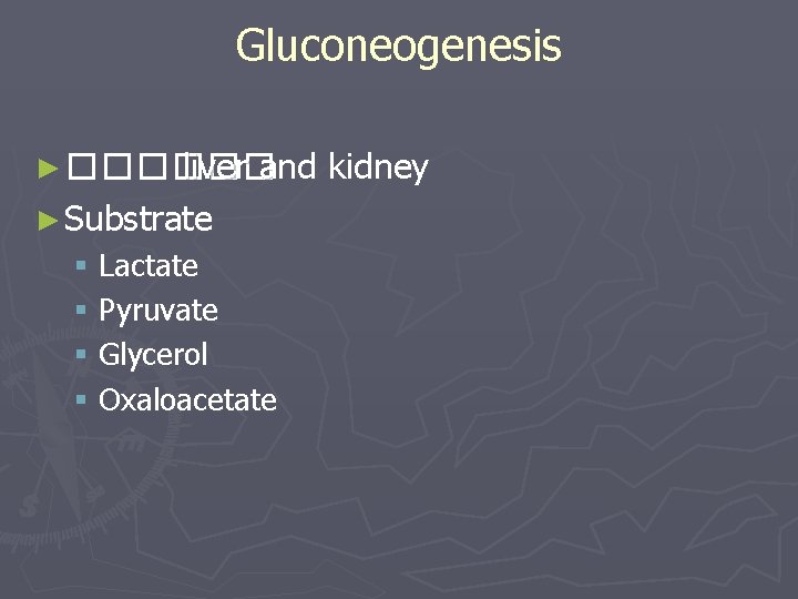 Gluconeogenesis ► ������ liver and kidney ► Substrate § Lactate § Pyruvate § Glycerol