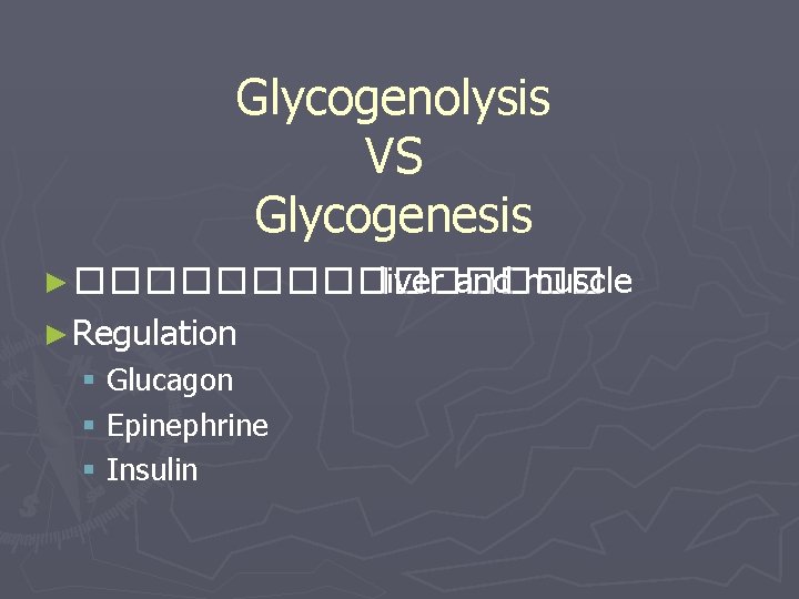 Glycogenolysis VS Glycogenesis ► �������� liver and muscle ► Regulation § Glucagon § Epinephrine