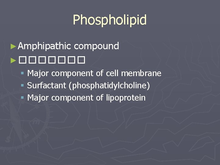 Phospholipid ► Amphipathic compound ► ������� § Major component of cell membrane § Surfactant