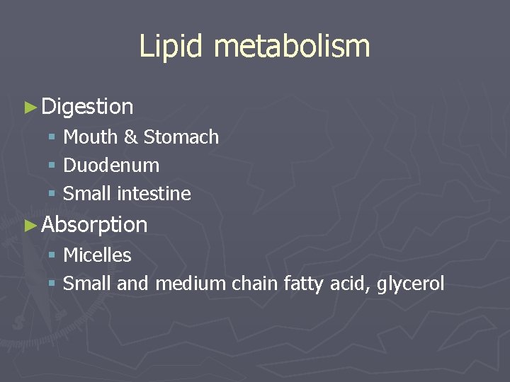 Lipid metabolism ► Digestion § Mouth & Stomach § Duodenum § Small intestine ►