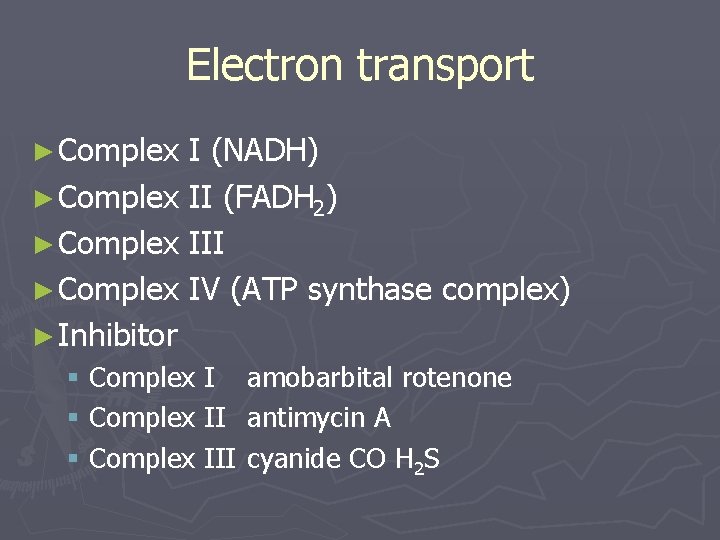 Electron transport ► Complex I (NADH) ► Complex II (FADH 2) ► Complex III