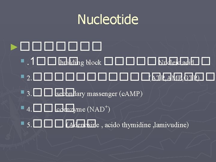Nucleotide ►������� §. 1���� building block ����� Nucleic acid § 2. ��������� (ATP, AMP,