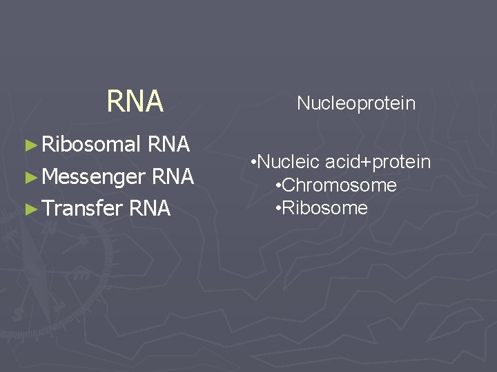 RNA ► Ribosomal RNA ► Messenger RNA ► Transfer RNA Nucleoprotein • Nucleic acid+protein