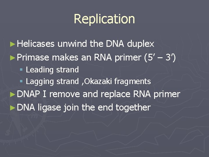 Replication ► Helicases unwind the DNA duplex ► Primase makes an RNA primer (5’