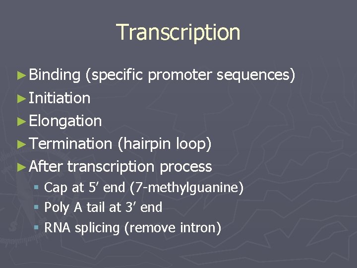 Transcription ► Binding (specific promoter sequences) ► Initiation ► Elongation ► Termination (hairpin loop)