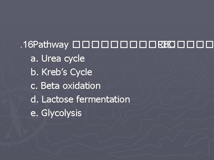 . 16 Pathway �������� RBC a. Urea cycle b. Kreb’s Cycle c. Beta oxidation