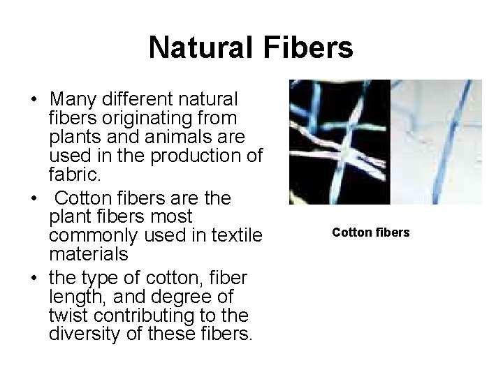 Natural Fibers • Many different natural fibers originating from plants and animals are used