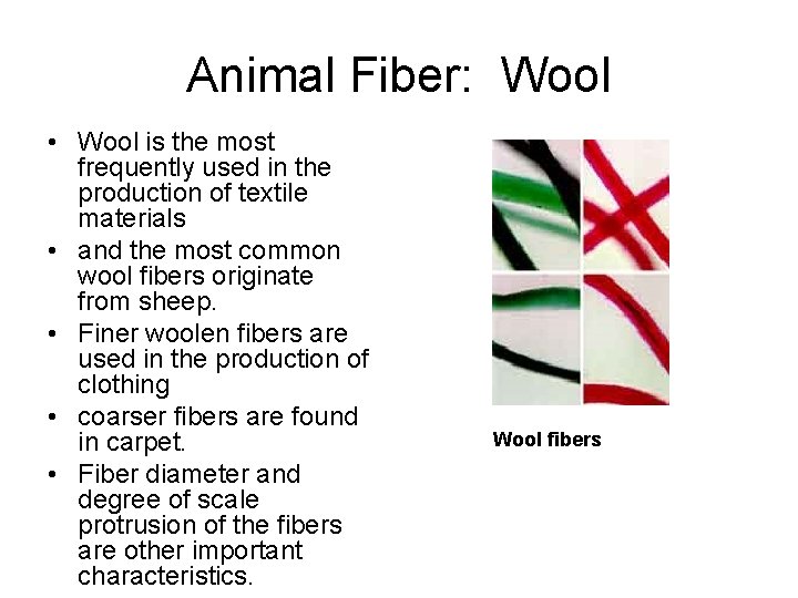 Animal Fiber: Wool • Wool is the most frequently used in the production of Animal Fiber: Wool • Wool is the most frequently used in the production of