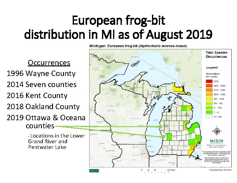 European frog-bit distribution in MI as of August 2019 Occurrences 1996 Wayne County 2014