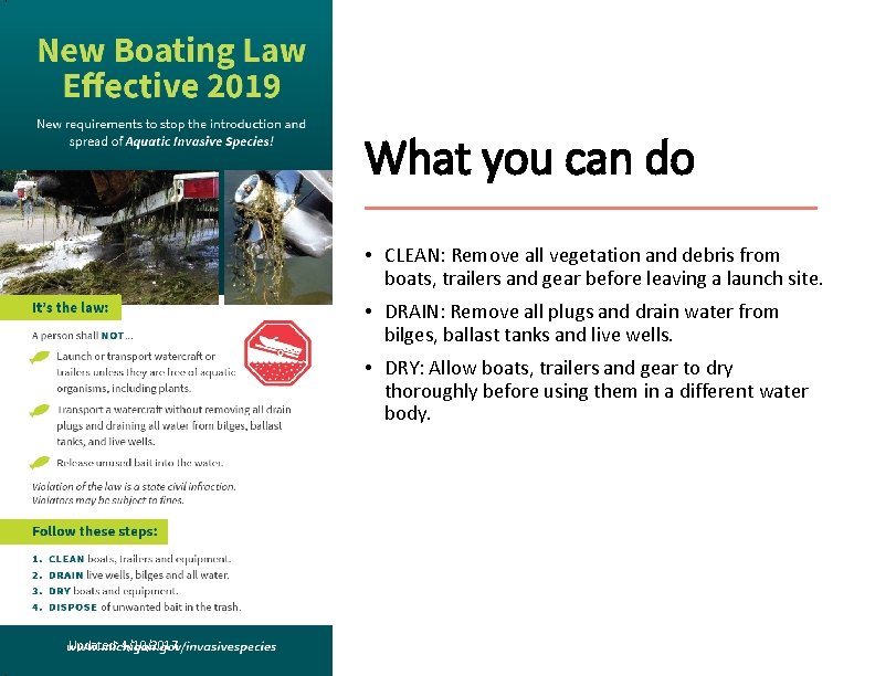 What you can do • CLEAN: Remove all vegetation and debris from boats, trailers
