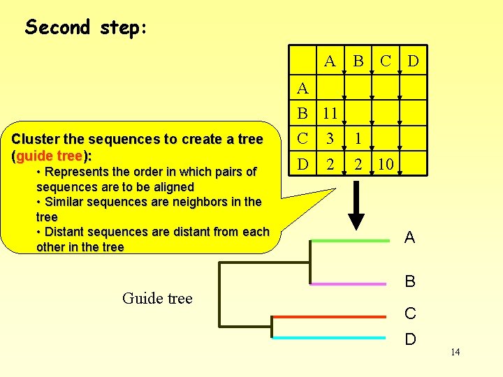 Second step: A B C D A B 11 Cluster the sequences to create Second step: A B C D A B 11 Cluster the sequences to create