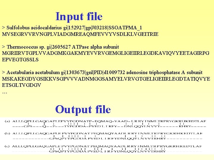 Input file > Sulfolobus acidocaldarius gi|152927|gp|J 03218|SSOATPMA_1 MVSEGRVVRVNGPLVIADGMREAQMFEVVYVSDLKLVGEITRIE > Thermococcus sp. gi|2605627 ATPase alpha Input file > Sulfolobus acidocaldarius gi|152927|gp|J 03218|SSOATPMA_1 MVSEGRVVRVNGPLVIADGMREAQMFEVVYVSDLKLVGEITRIE > Thermococcus sp. gi|2605627 ATPase alpha