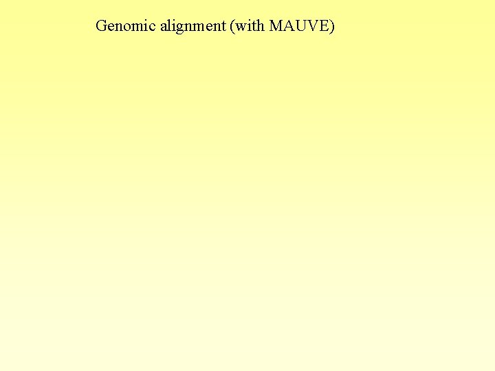 Genomic alignment (with MAUVE) Genomic alignment (with MAUVE)