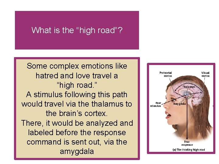 What is the “high road”? Some complex emotions like hatred and love travel a