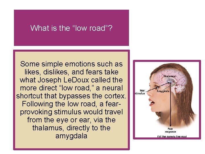 What is the “low road”? Some simple emotions such as likes, dislikes, and fears