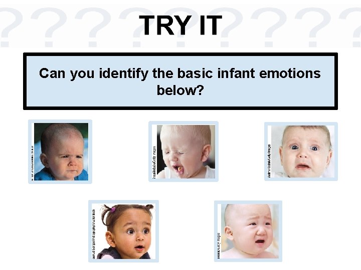 Can you identify the basic infant emotions below? 