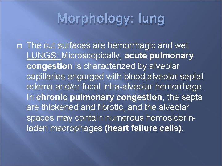 Morphology: lung The cut surfaces are hemorrhagic and wet. LUNGS: Microscopically, acute pulmonary congestion