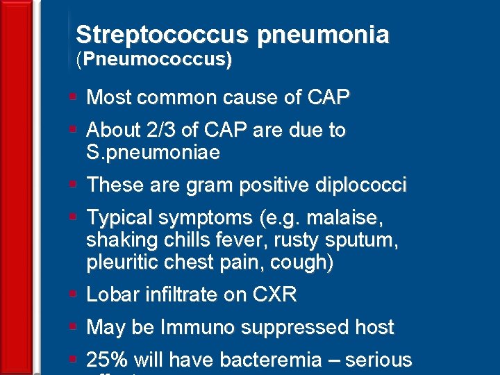 Streptococcus pneumonia (Pneumococcus) § Most common cause of CAP § About 2/3 of CAP