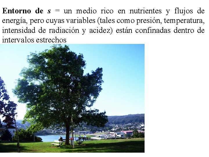 Entorno de s = un medio rico en nutrientes y flujos de energía, pero